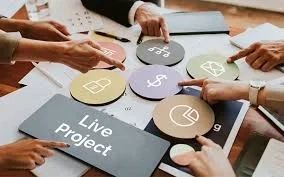 Live Project Development