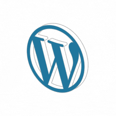 WordPress Development